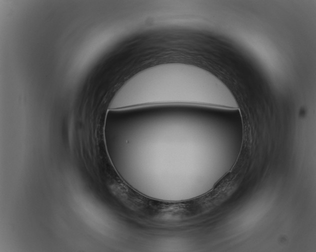 X0000094970382200711291144