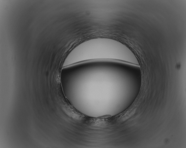 X0000094970384200711291144