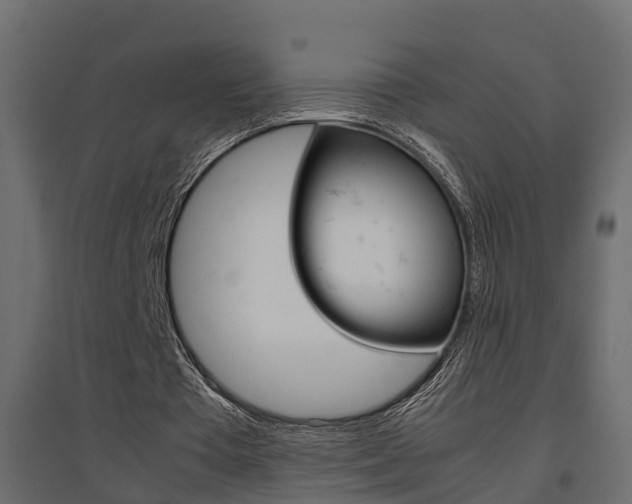 X0000094970385200711291143