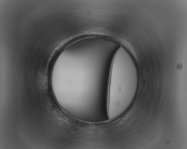 X0000094970388200711291143