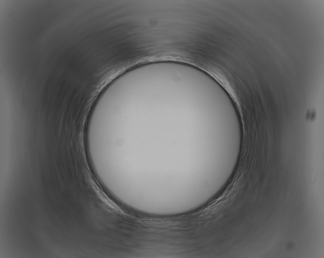 X0000094970389200711291143