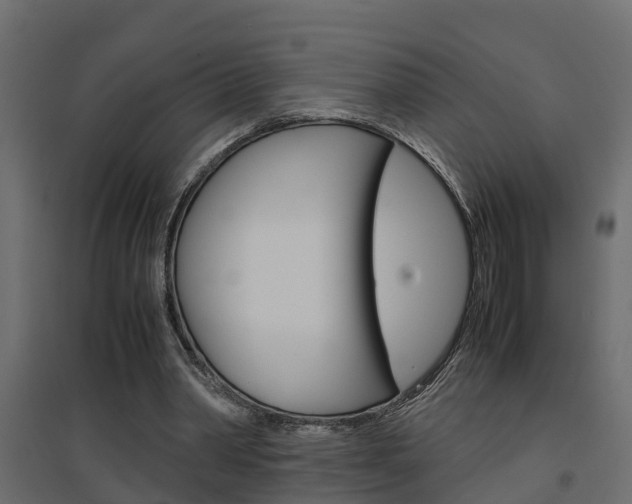 X0000094970390200711291143