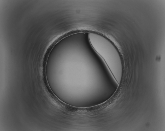 X0000094970391200711291143