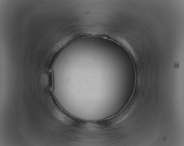 X0000094970393200711291143