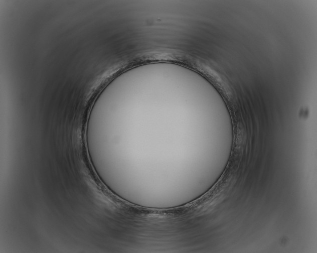 X0000094970394200711291143
