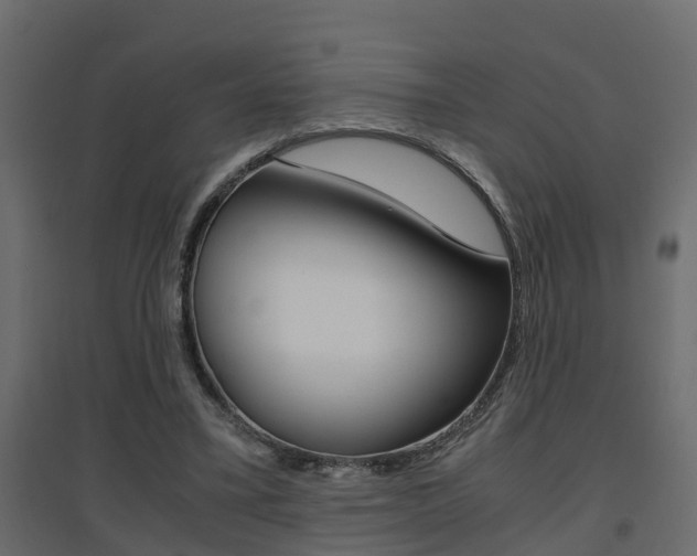 X0000094970395200711291143