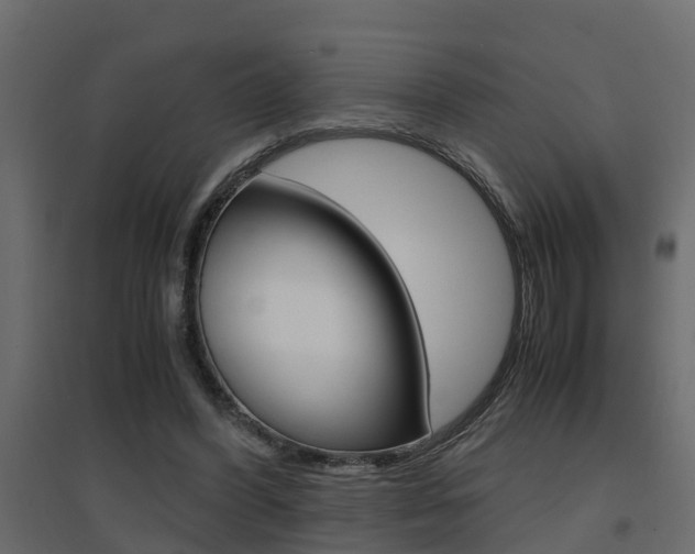 X0000094970396200711291143