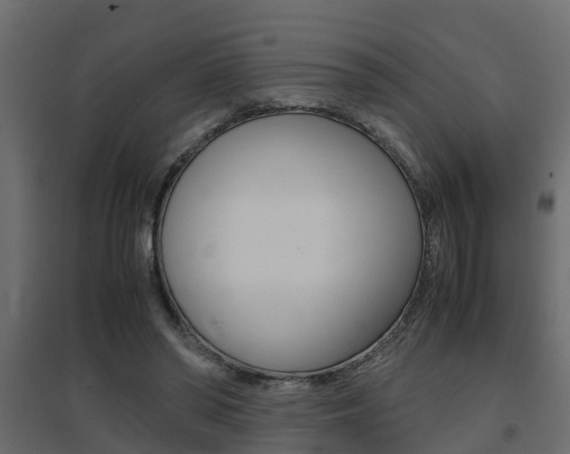 X0000094970398200711291143
