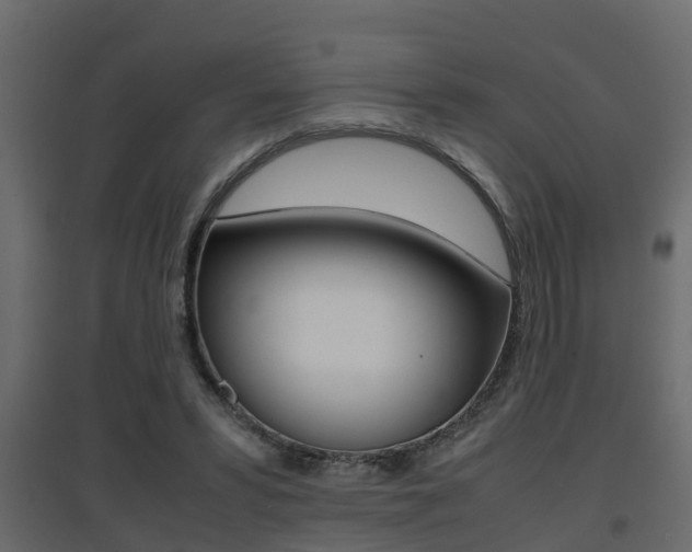 X0000094970399200711291143