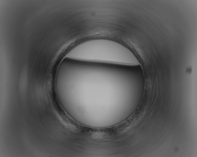 X0000094970400200711291143
