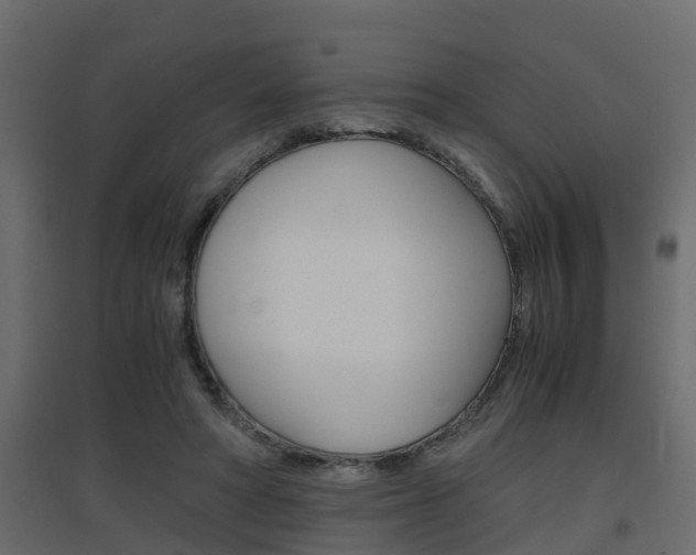 X0000094970402200711291143