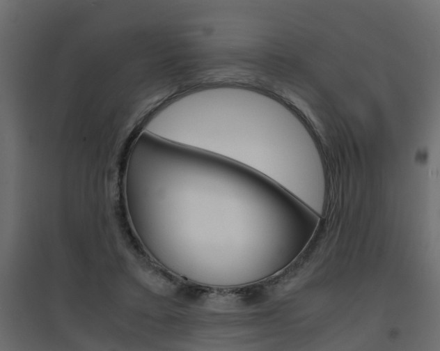 X0000094970403200711291143