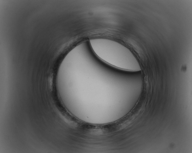 X0000094970404200711291143