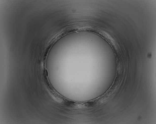 X0000094970405200711291143
