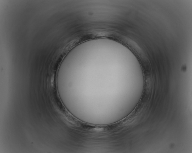 X0000094970406200711291143