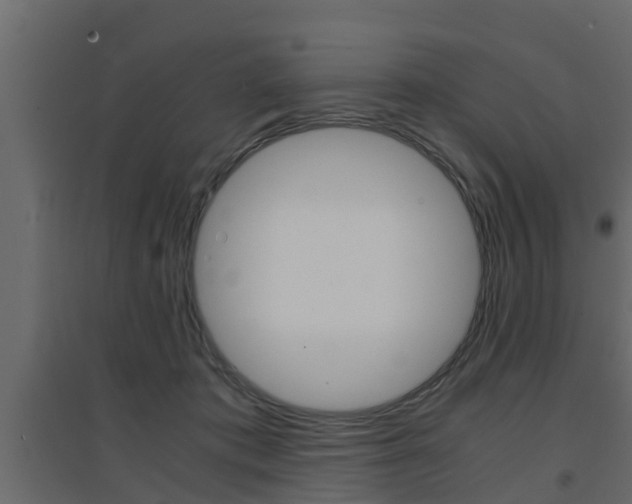 X0000094970413200711291143