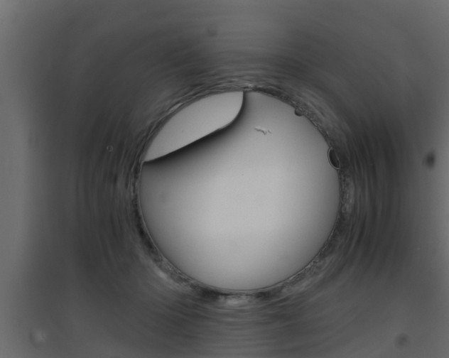 X0000094970414200711291143