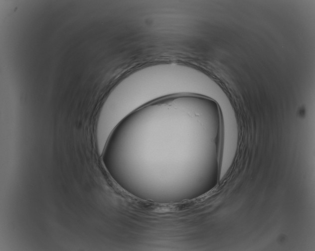 X0000094970415200711291143