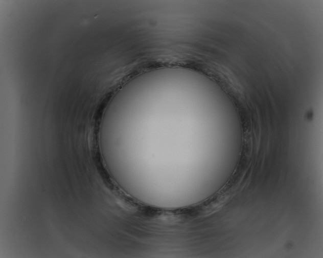 X0000094970416200711291143