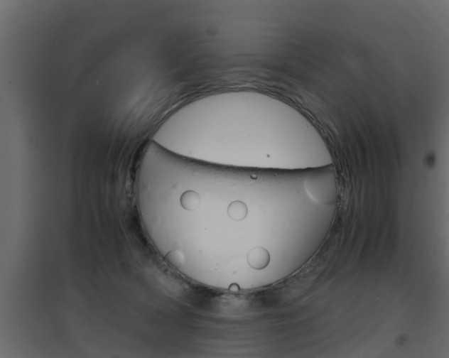 X0000094970418200711291142
