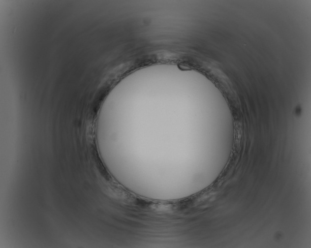 X0000094970419200711291142