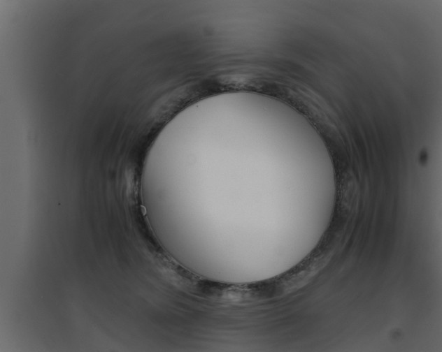 X0000094970420200711291142