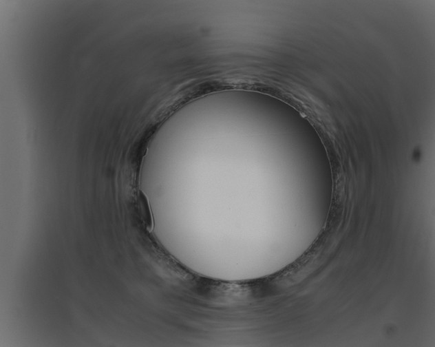 X0000094970421200711291142
