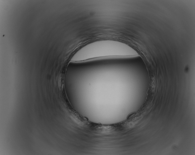 X0000094970428200711291142