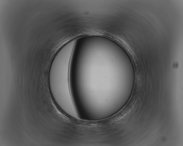 X0000094970433200711291141