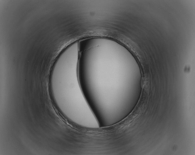 X0000094970434200711291141