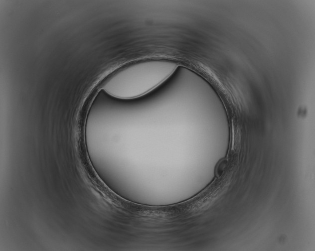 X0000094970435200711291141