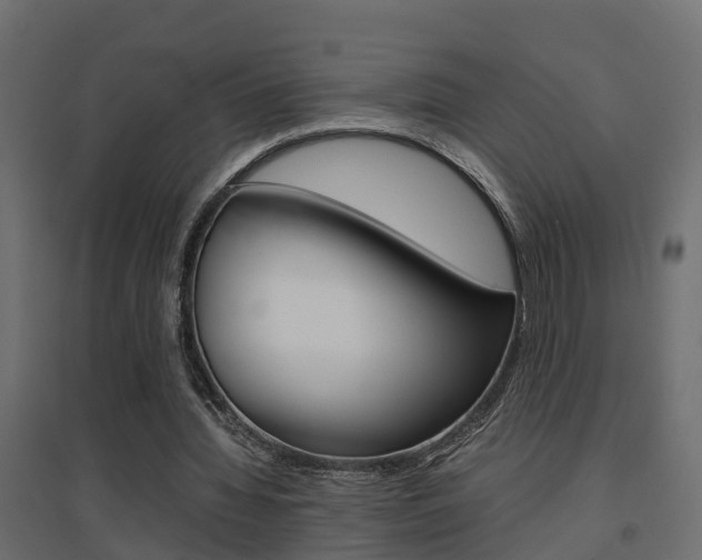 X0000094970436200711291141