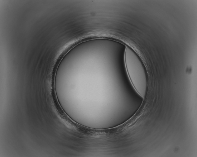 X0000094970438200711291142