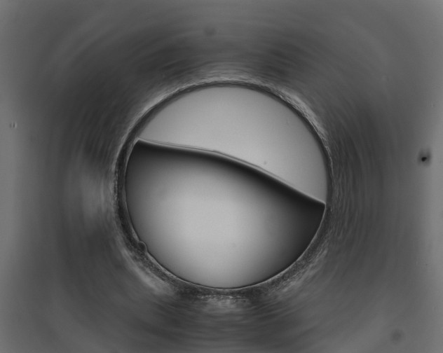 X0000094970439200711291142
