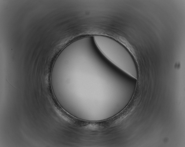 X0000094970441200711291142