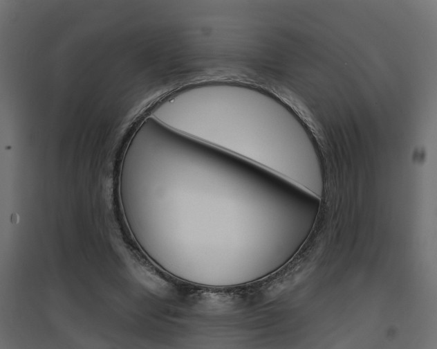 X0000094970442200711291142