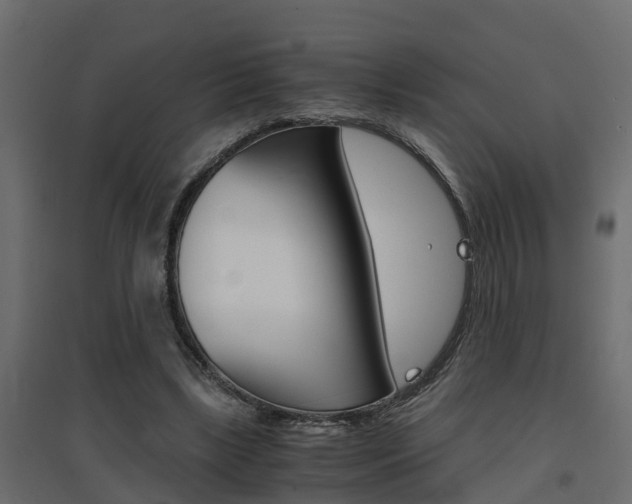 X0000094970443200711291142