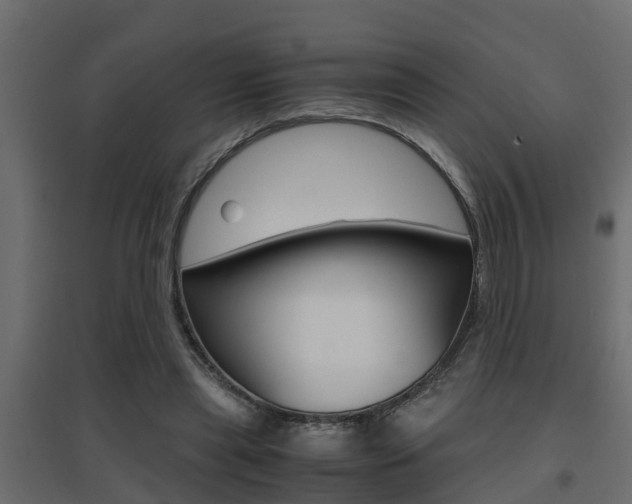 X0000094970445200711291142