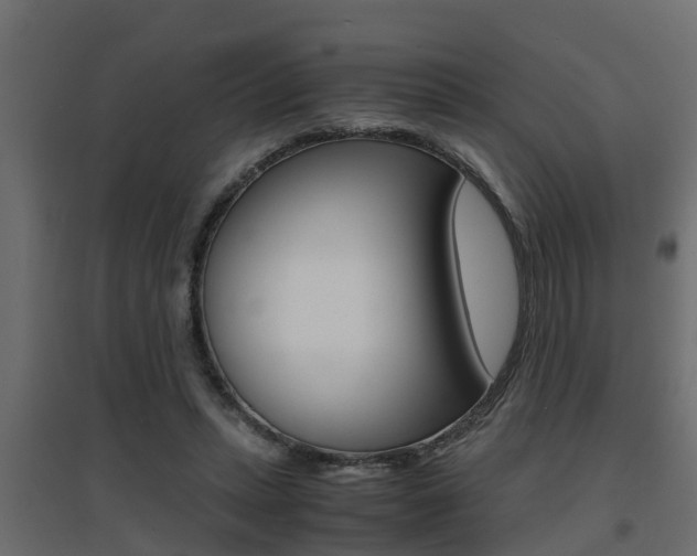 X0000094970447200711291142