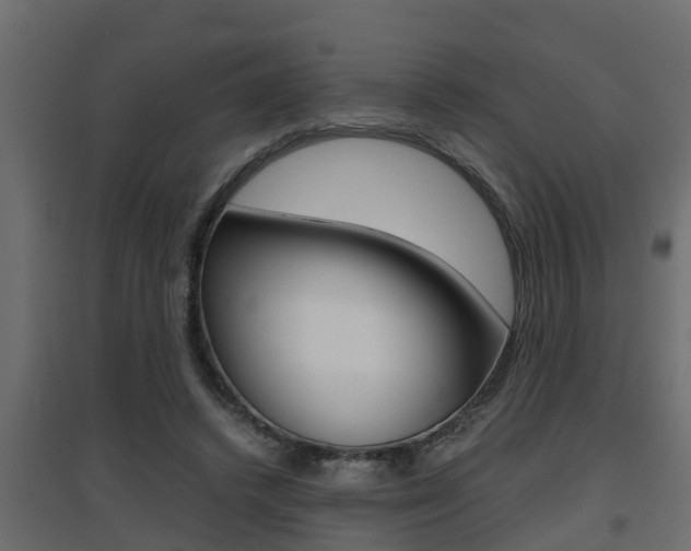 X0000094970448200711291142