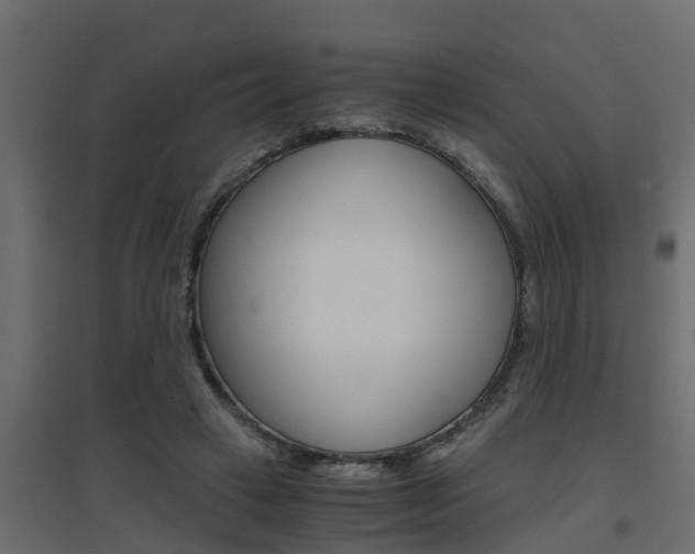X0000094970449200711291142