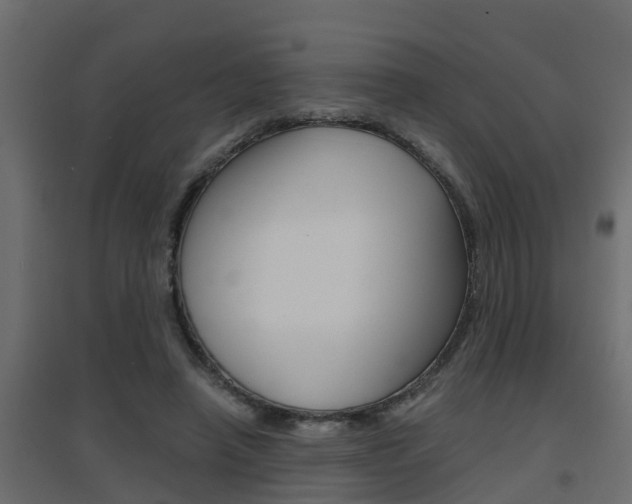 X0000094970450200711291142
