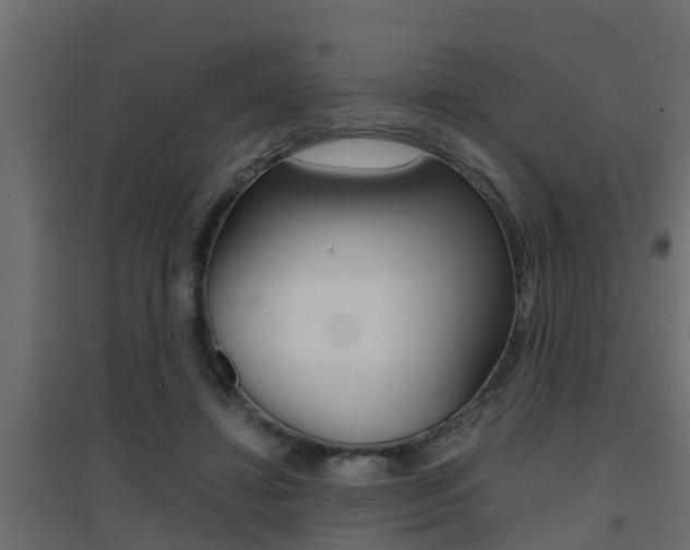 X0000094970452200711291142