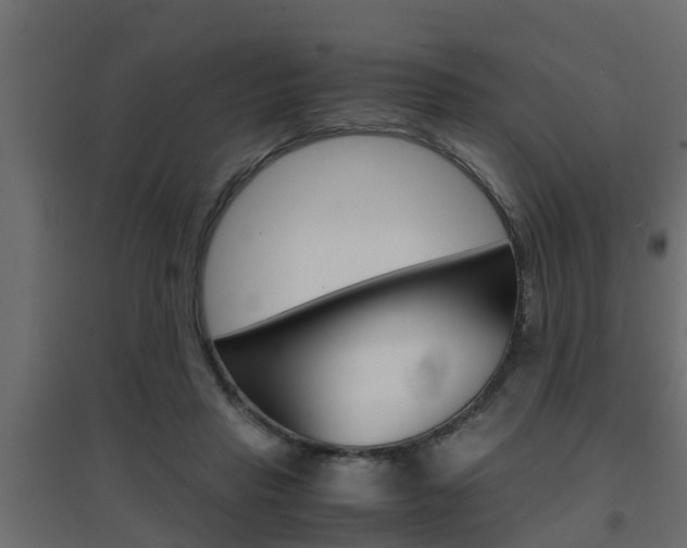 X0000094970453200711291142