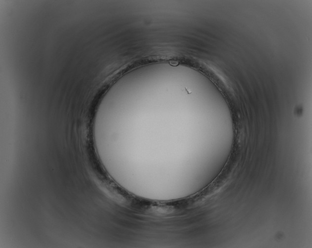 X0000094970455200711291142