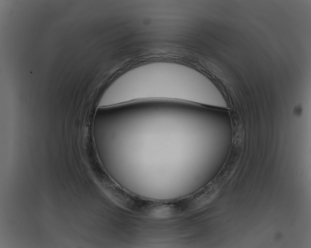 X0000094970456200711291142