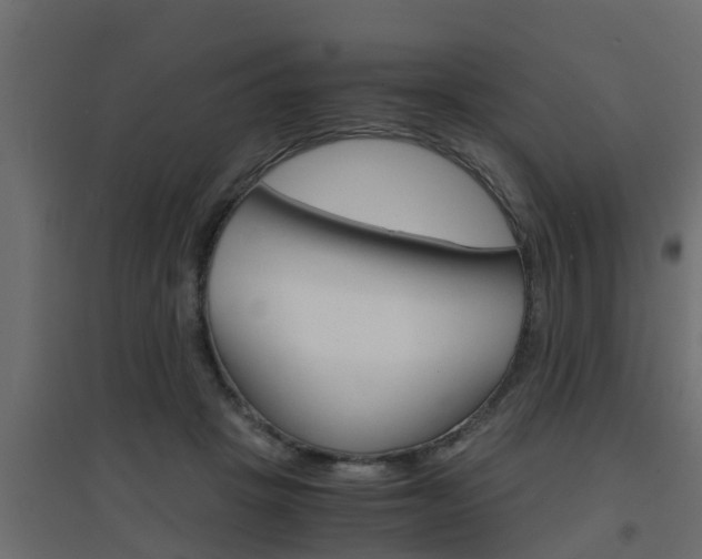 X0000094970457200711291142