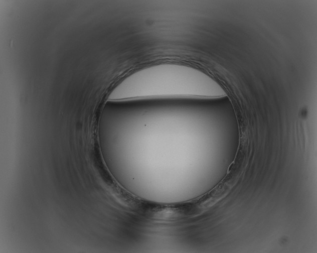 X0000094970460200711291142