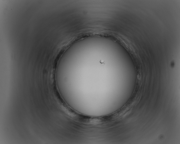 X0000094970462200711291142