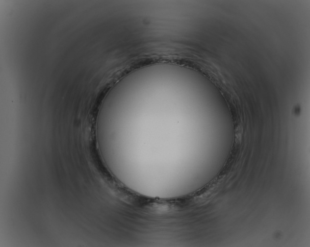 X0000094970464200711291142